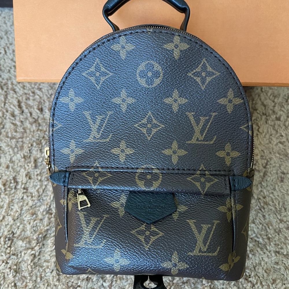 Louis Vuitton Palm Springs Mini